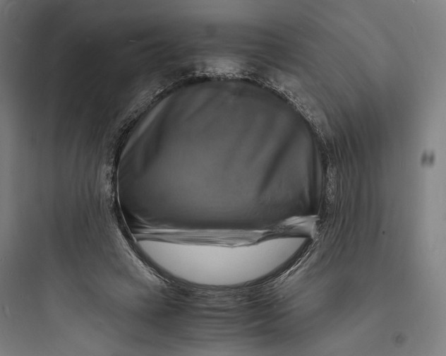 X0000093730449200711061005