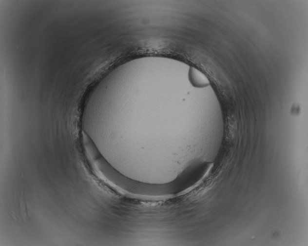 X0000093730450200711061005