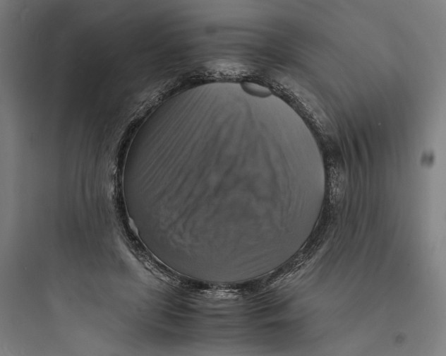 X0000093730451200711061005