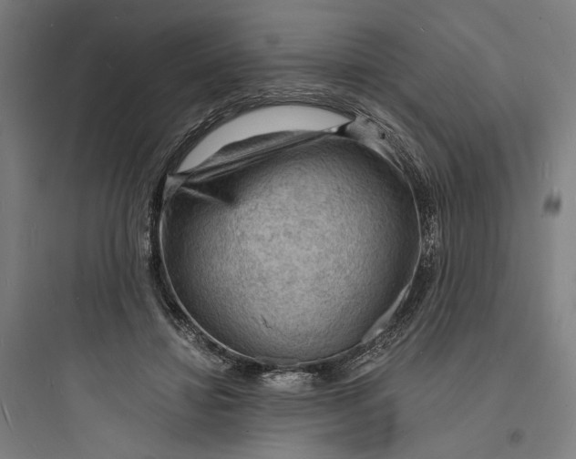 X0000093730452200711061005