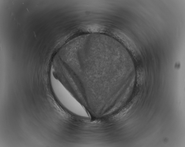 X0000093730453200711061005