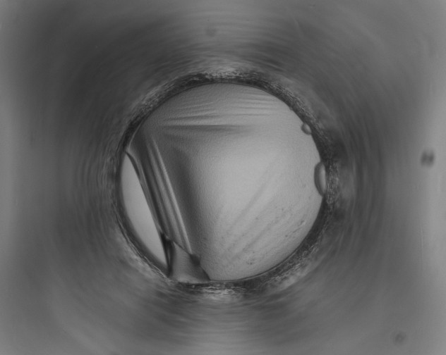 X0000093730454200711061005