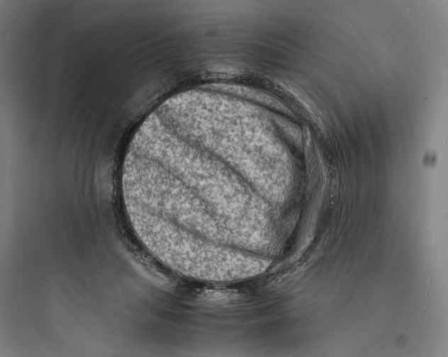 X0000093730455200711061005