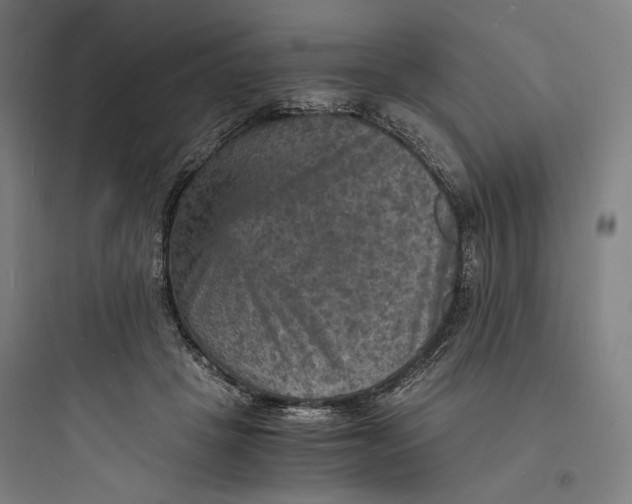 X0000093730457200711061005