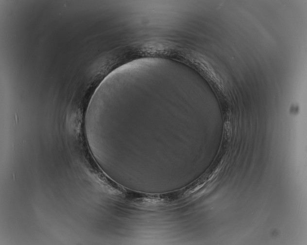 X0000093730458200711061005