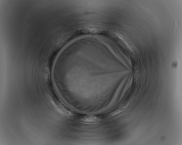 X0000093730459200711061005