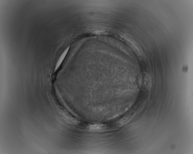 X0000093730461200711061005