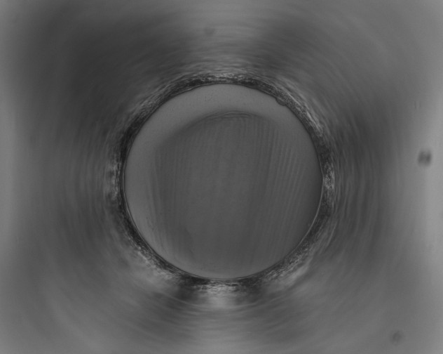 X0000093730462200711061005