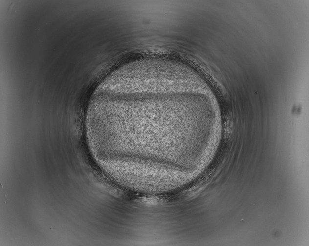 X0000093730464200711061005