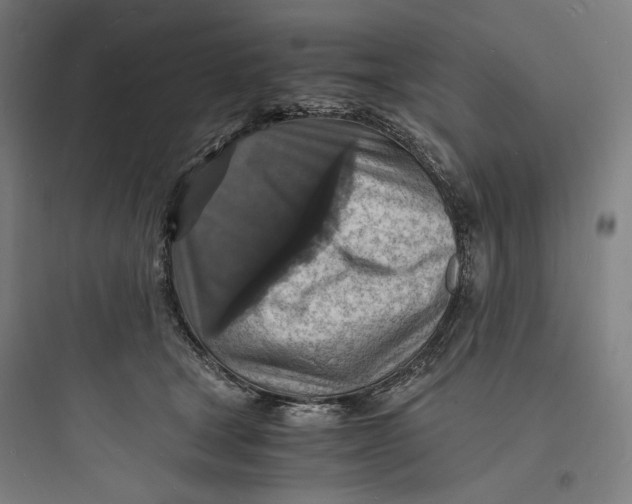 X0000093730465200711061005