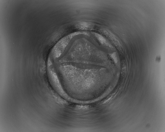 X0000093730469200711061005