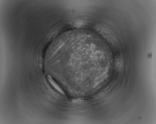 X0000093730470200711061005