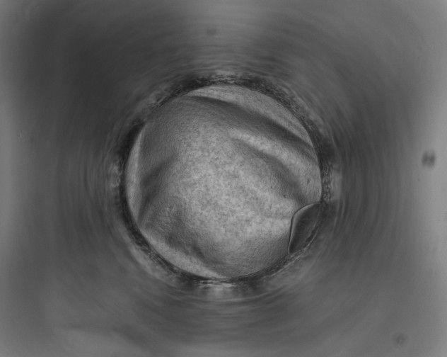 X0000093730472200711061005