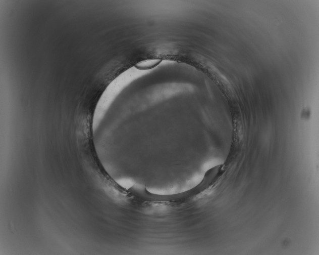 X0000093730475200711061005