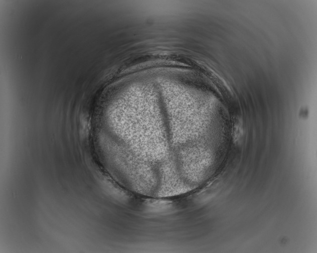 X0000093730476200711061005