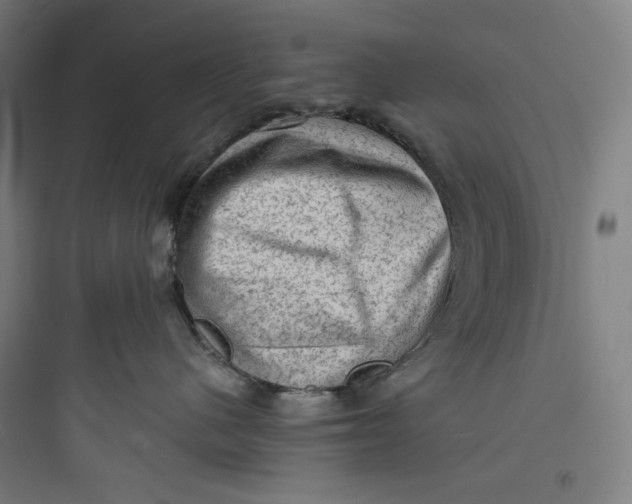 X0000093730480200711061005