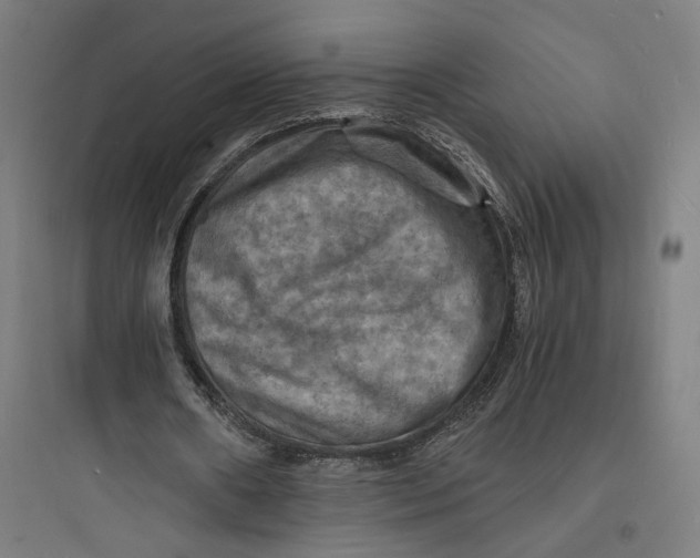 X0000093730482200711061004