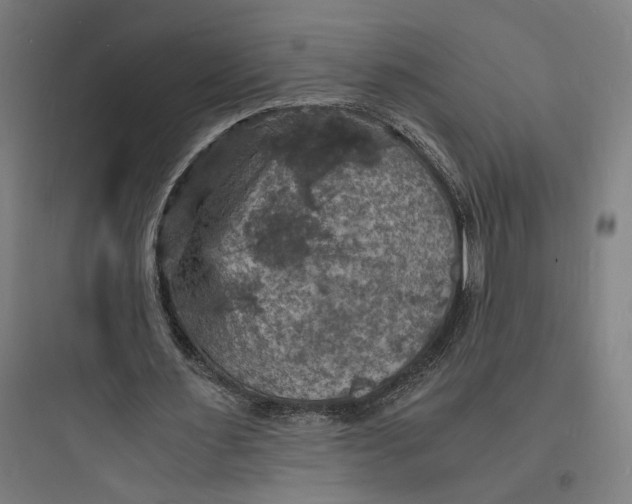 X0000093730483200711061004