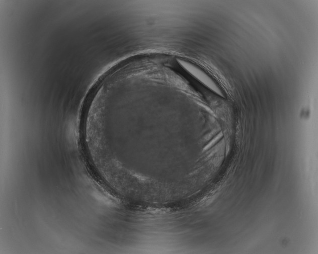 X0000093730484200711061004