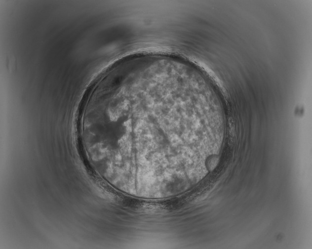 X0000093730487200711061004