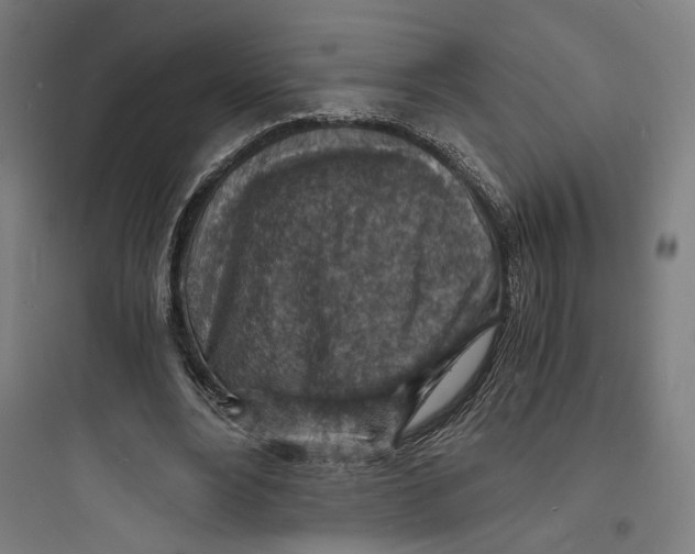 X0000093730488200711061004