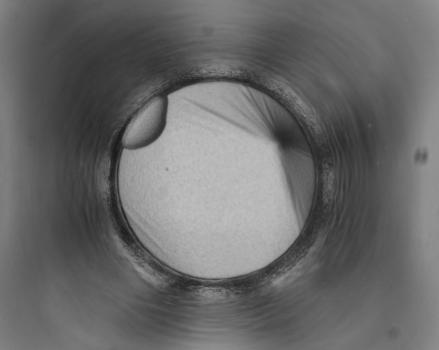 X0000093730490200711061004