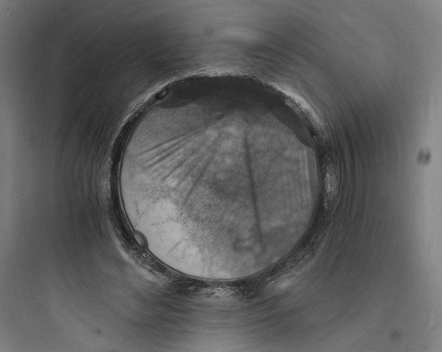 X0000093730492200711061004