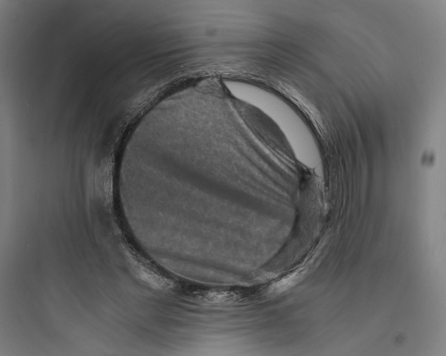 X0000093730493200711061004