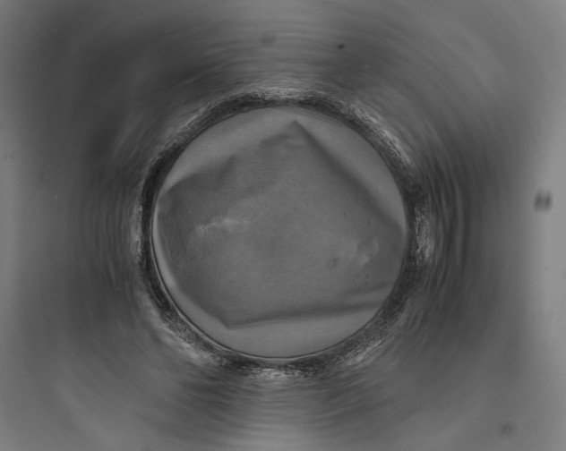 X0000093730494200711061004