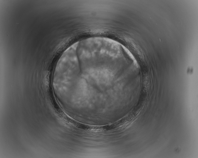 X0000093730495200711061004