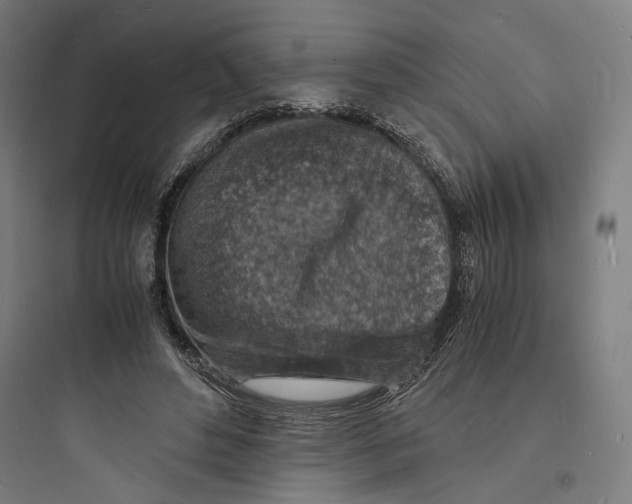 X0000093730496200711061004