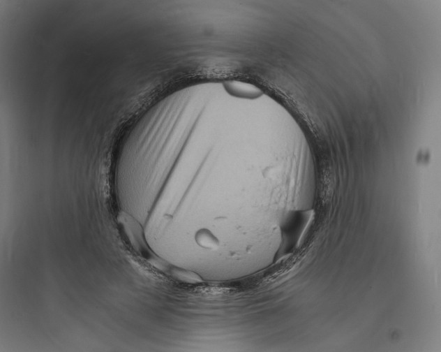 X0000093730497200711061004