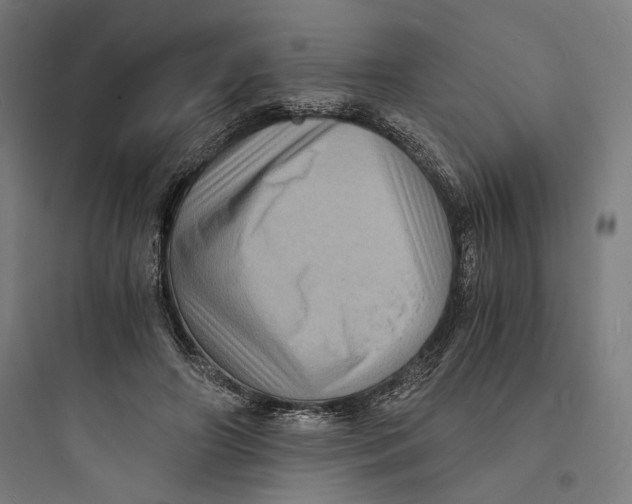 X0000093730498200711061004