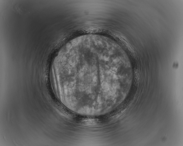 X0000093730499200711061004