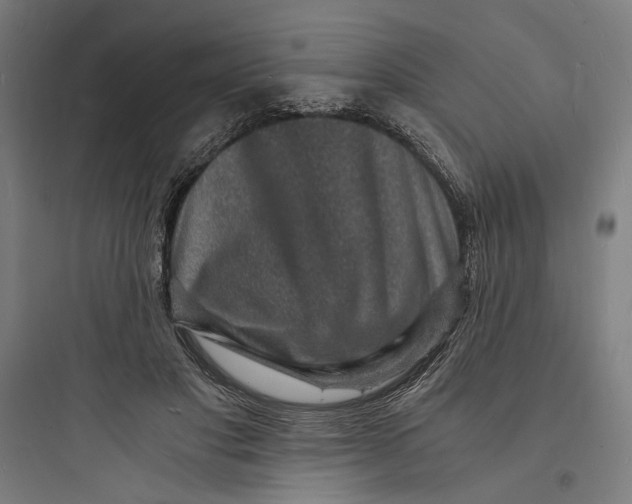 X0000093730501200711061004