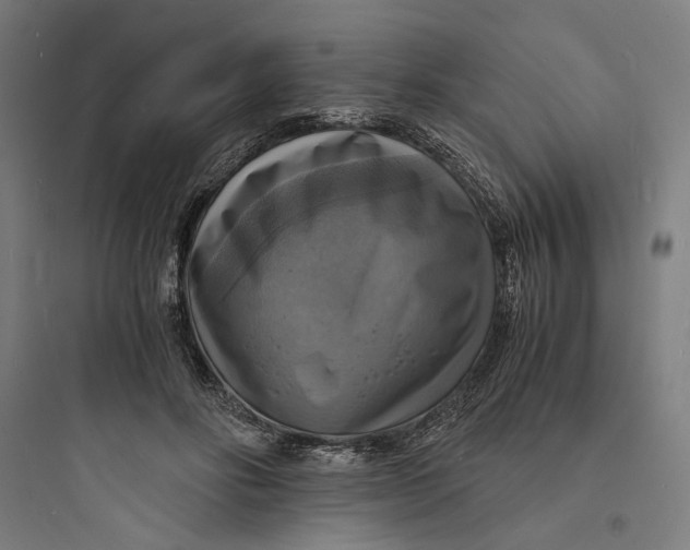 X0000093730502200711061004