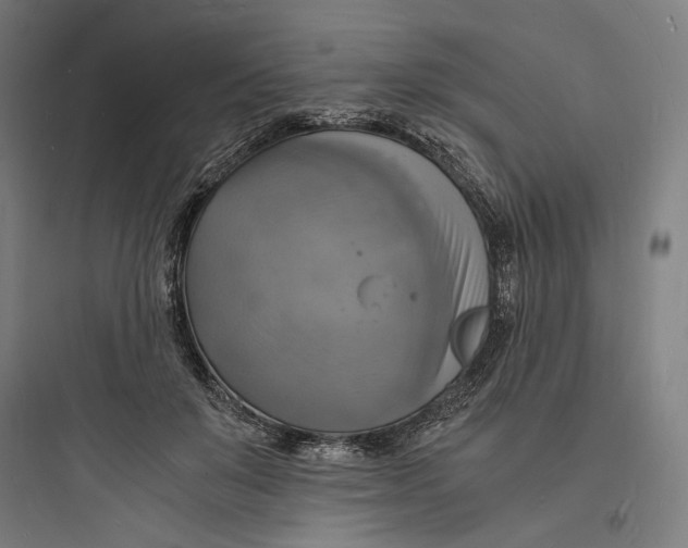 X0000093730503200711061004