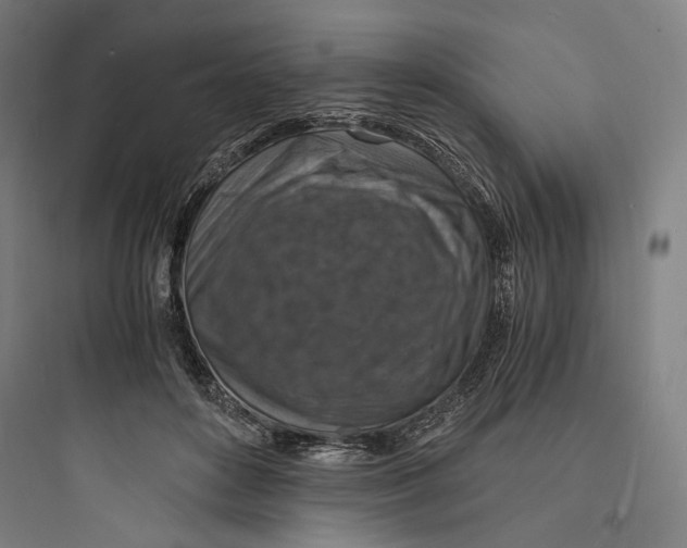 X0000093730504200711061004