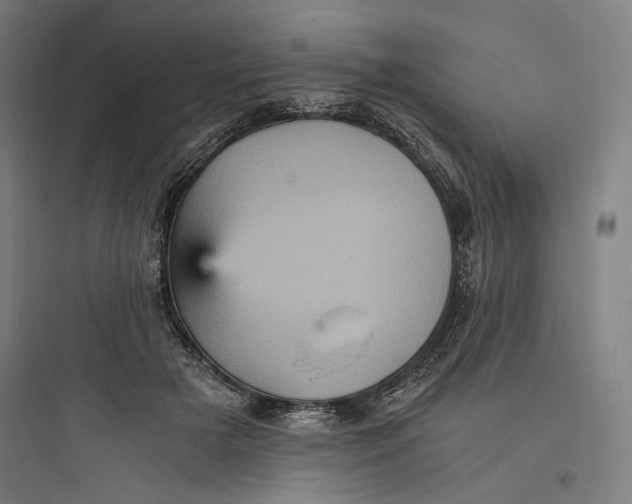 X0000093730505200711061004