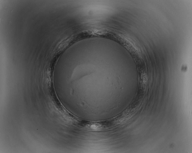 X0000093730506200711061004