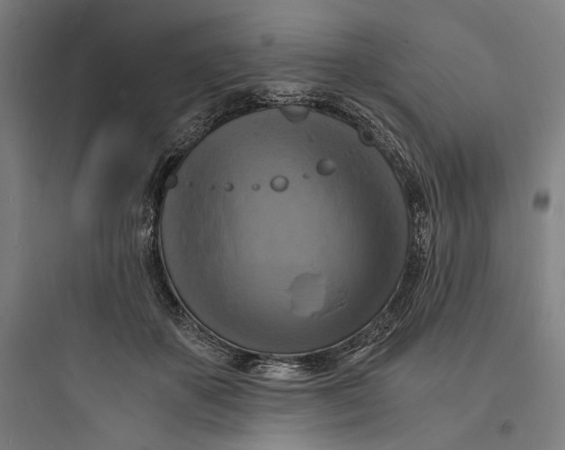 X0000093730507200711061004