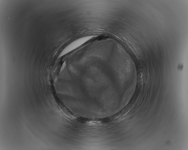 X0000093730508200711061004