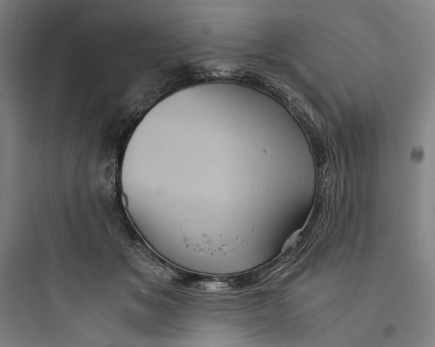 X0000093730509200711061004