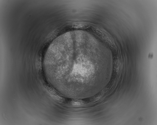 X0000093730510200711061004