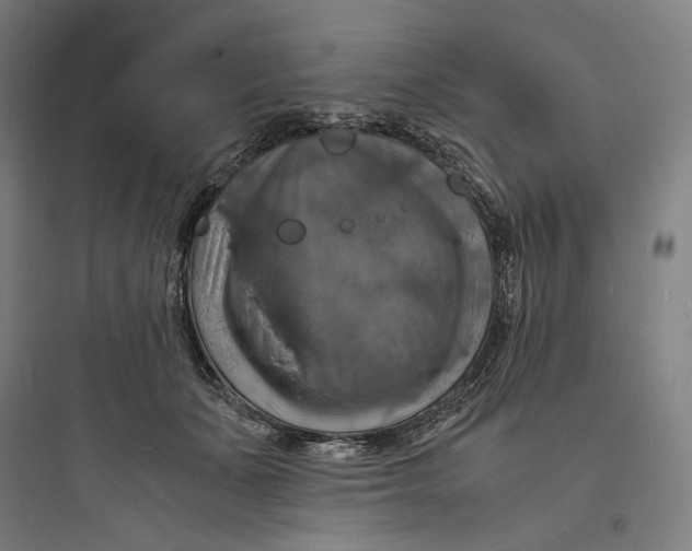 X0000093730511200711061004