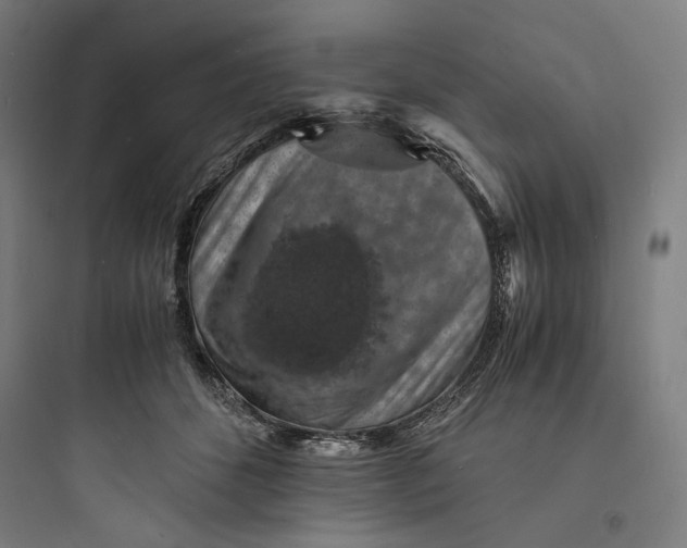 X0000093730512200711061004