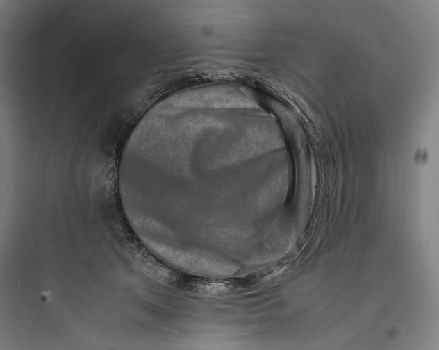 X0000093730513200711061004