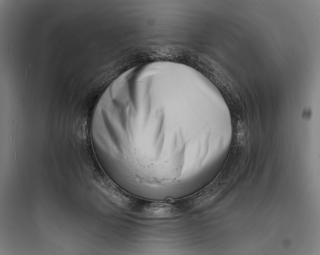 X0000093730514200711061004