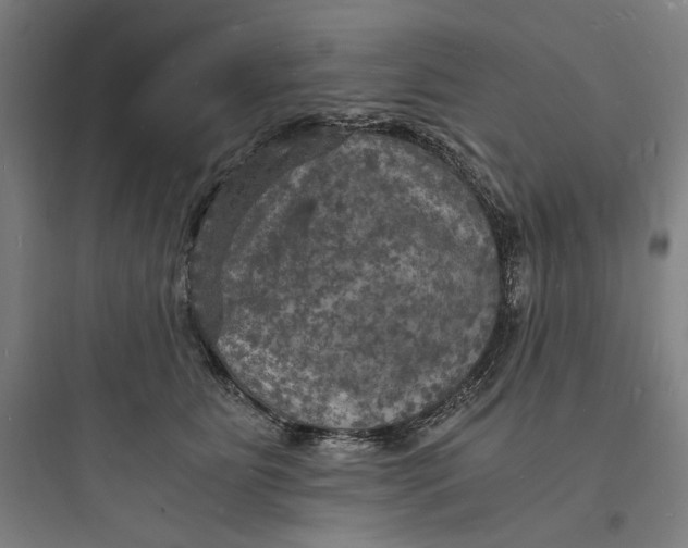 X0000093730515200711061004