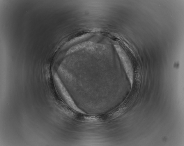 X0000093730516200711061004